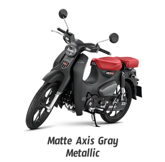 matte-axis-gray-metallic-515x504pxl-1-10052024-062437