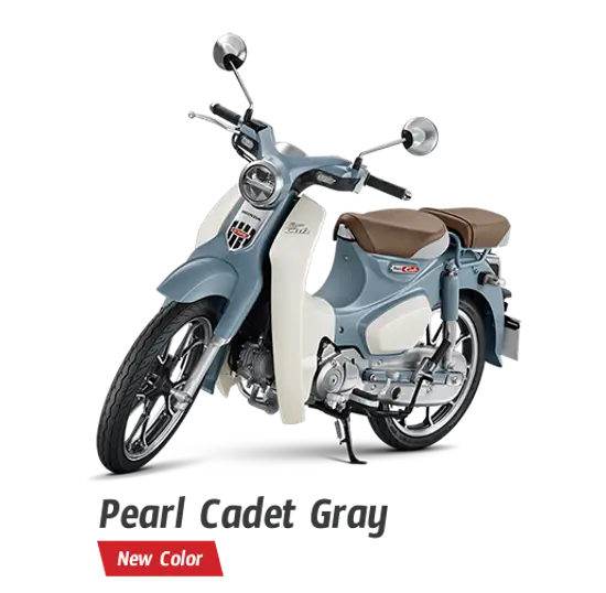 pearl-cadet-gray-515x504pxl-1-10052024-062451